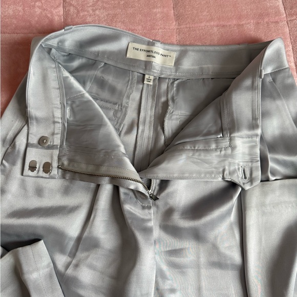 Aritzia Silver Satin Pants - Picture 4 of 8